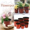 20Pcs Seeding Nursery Pot Black Red Plants Nursery Pots Seedling Cups Grow Box Planters Home Garden Potted Container