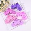 Frosted Mini Hair Claw Clips 2-Pack - Small Shark Hair Accessories for High Ponytails