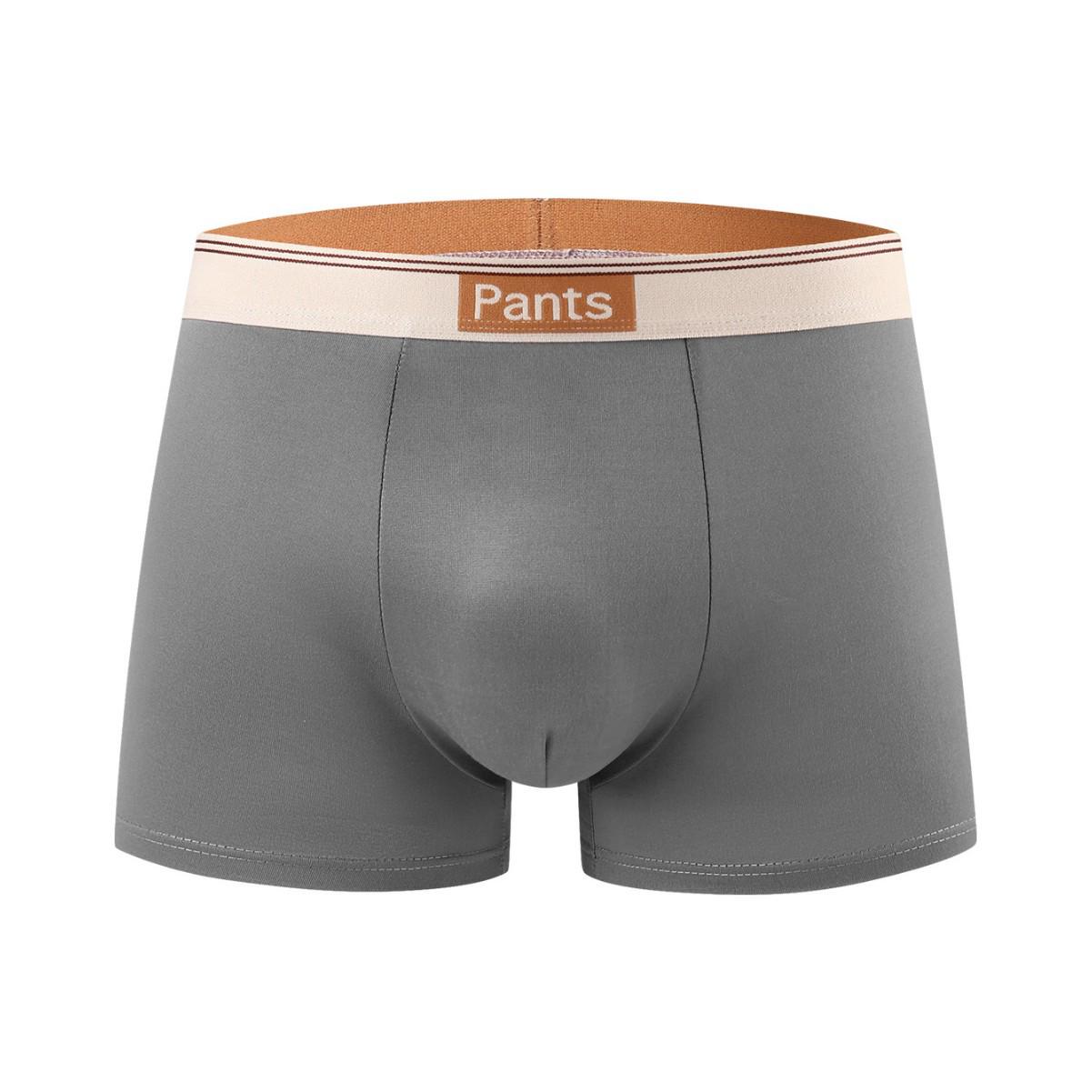 TK Xi Yin Men s Mid-Waist Boxer Briefs - European and American Plus Size Underwear L (EU/US)