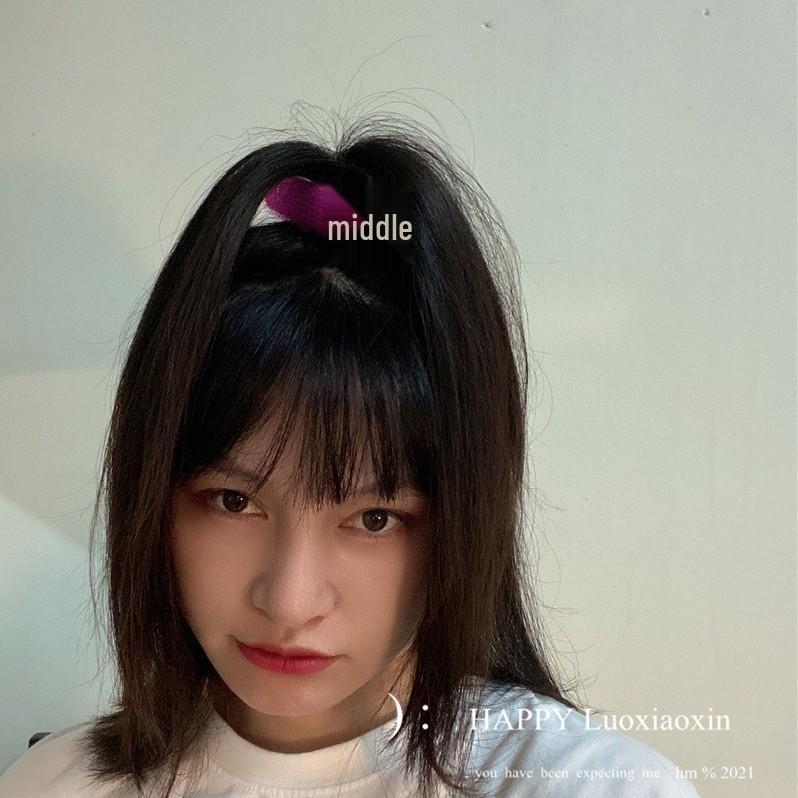 Autumn/Winter Root-Boosting Hair Clip for Women - Fluffy Hair Pad & Princess Head Support 