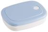 Skater Rice Powder Pastel for Freezing and Preparing Rice Container, 280ml, Thin, Blue, SLG2,