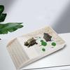 Small Pet Turtle Resting Basking Platform with Feeding Dish Reptiles Tortoises Climbing Ladder Plastic Habitat Decors