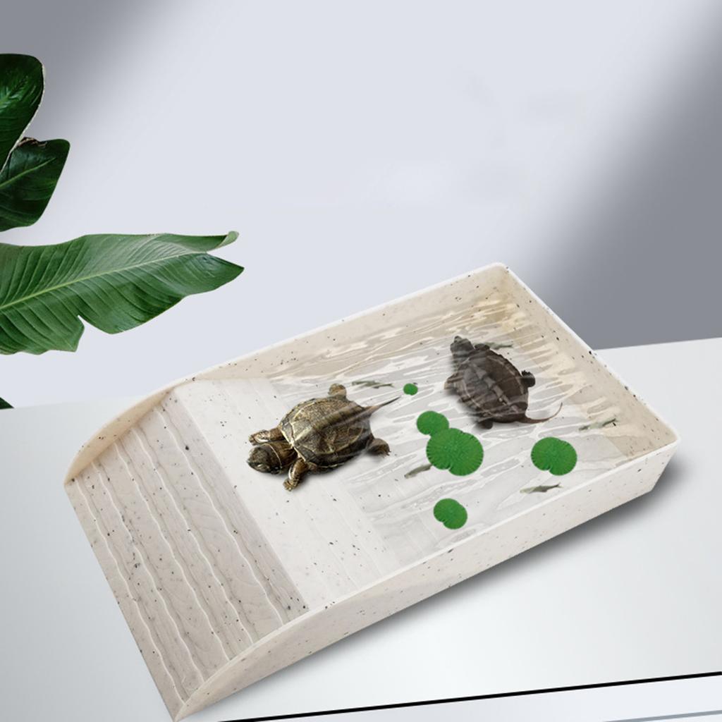 Small Pet Turtle Resting Basking Platform with Feeding Dish Reptiles Tortoises Climbing Ladder Plastic Habitat Decors