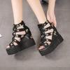 High-Heeled Sandals Women'S Summer New Style Platform Hollowed Out Fish Mouth Sandals