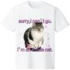 TX100% Cotton Soft Comfortable Funny Tabby Cat Sorry I Can't Go I'm An Inside Cat Text Graphic Loose Fit Casual Classic Women's Crew Neck Short Sleeve