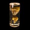 Aeon Flower Acrylic Table Lamp Bedroom Bedside Lamp Ambience Decorative Ornament Touch Switch + USB