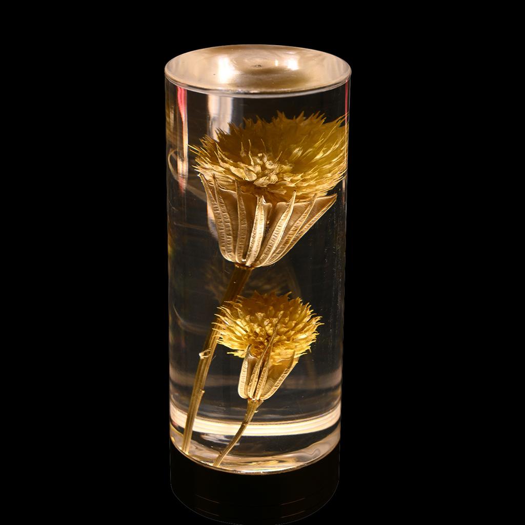 Aeon Flower Acrylic Table Lamp Bedroom Bedside Lamp Ambience Decorative Ornament Touch Switch + USB