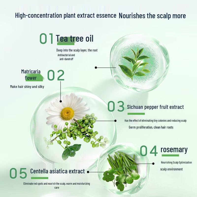 Cai Le Tea Tree Essential Oil Shampoo