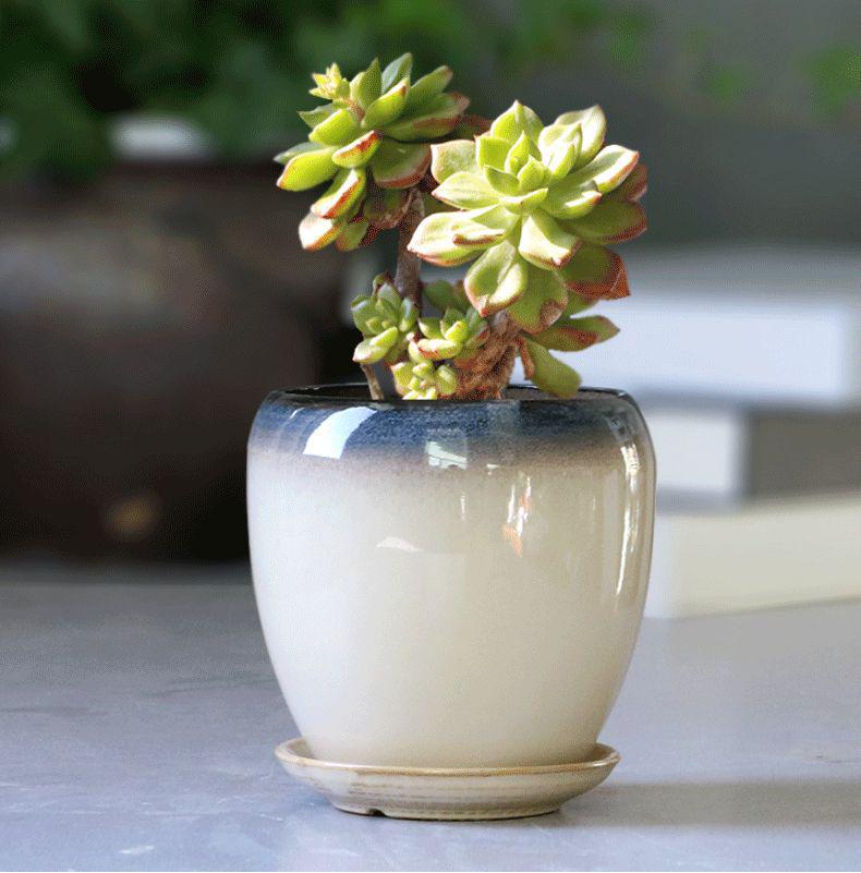 Breathable Ceramic Flower Pot with Tray for Gardenia and Succulents, Chinese Style, Large and Durable for Balcony Use.