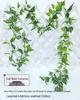 Artificial Red Maple Leaves Pothos Vine: Wall or Ceiling Hanging, Climbing Decorative Greenery