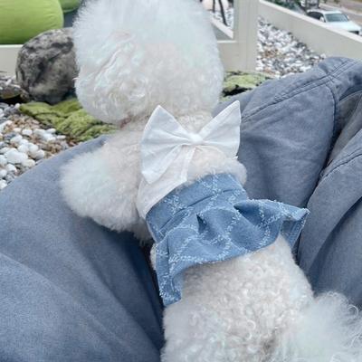 Bekleidung & Schuhe – Hundekleider