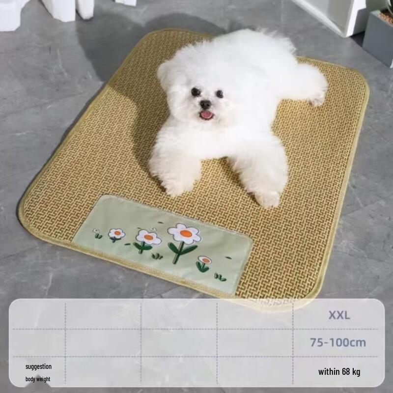 Oujiewang Pet Summer Cooling Mat