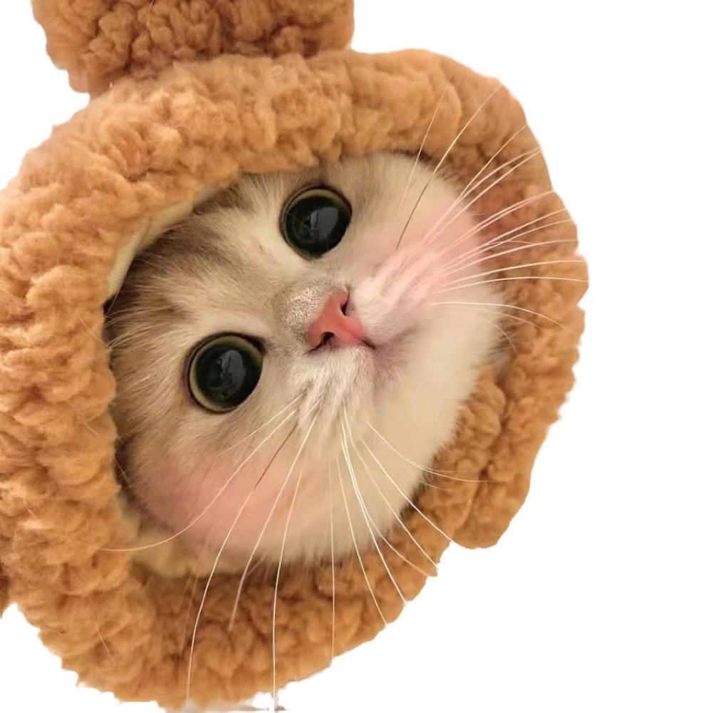Kitten Hat Pet Plush Head Cover British Shorthair Cute Cat Small Dog Photo Headwear Costume Accessory