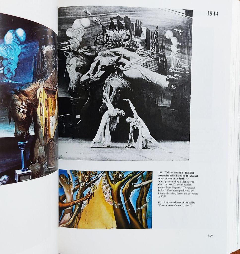 [USED] Salvador Dali: The Paintings