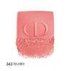 Christian Dior Rouge Blush