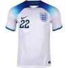 Nike England National Team Soccer Jersey Fan Edition Men's White Color (Unisex) Soccer Jerseys DN0687 100