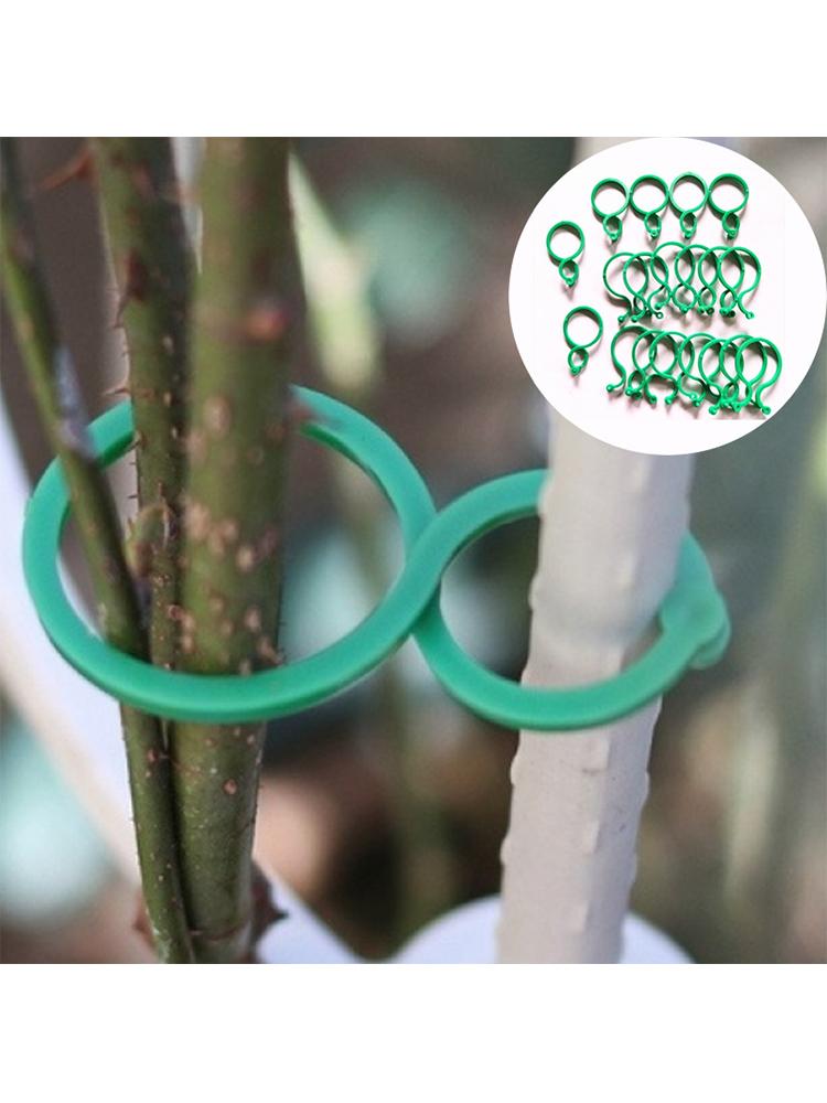 Садовая пряжка-кольцо Кольцо-тыква Садовые аксессуары Стебель растения Томатный цветок Растение Аксессуары