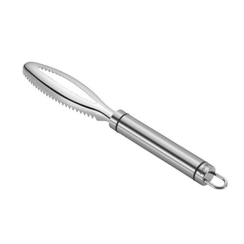 ZISIZ Stainless Steel Fish Scaler