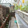Plastic-Coated Steel Garden Support Pipe for Greenhouses and Vegetables