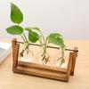 er Bulb Terrarium Vase for Home Decor