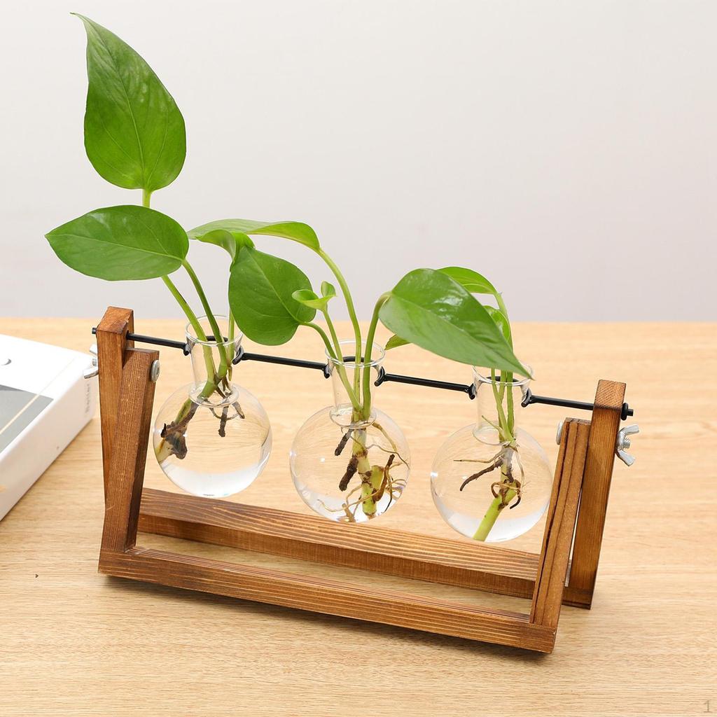 er Bulb Terrarium Vase for Home Decor