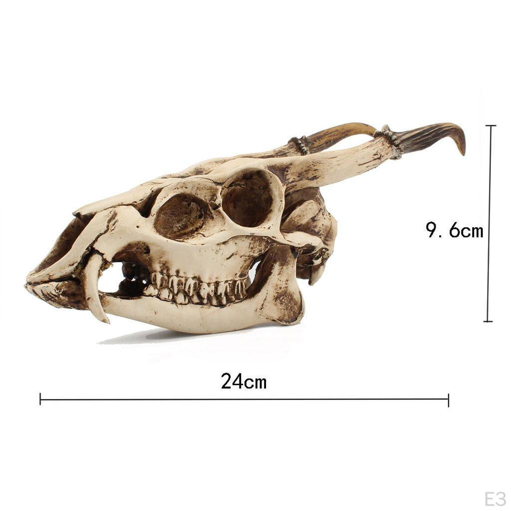 Skull Head Sculpture Model Resin Animal Vintage Style Creative Figurines Viking Gothic for Party,