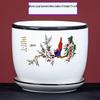 Large Ceramic Flower Pot with Saucer for Indoor or Balcony Plants