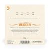 Mandolino Ottava Phosphor EJ80 Corde D'Addario, Bronzo, Medio, .012-.046