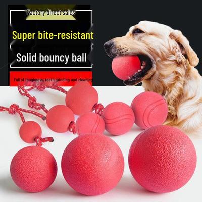 Durable TPR Rope Dog Toy: Bite-Resistant Elastic Ball for Training & Teething.