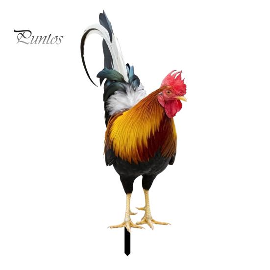 Arte da Giardino Realistico Palo Animale in Acrilico, Pollo Oca Uccello Piatto 2D Palo da Giardino Resistente alle Intemperie Segno Coniglio per Sentiero, Patio, Prato Esterno