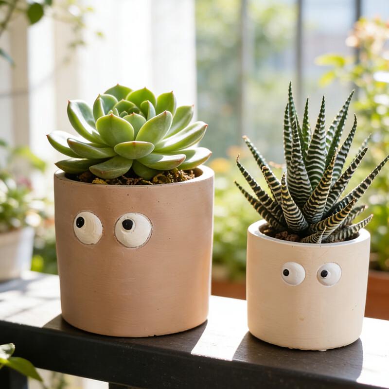 Creative Big Eye Cartoon Succulent Planter