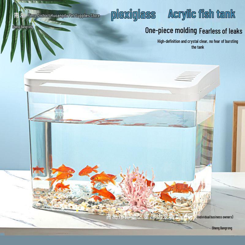 Acrylic High-Definition Fish and Turtle Tank for Living Room 