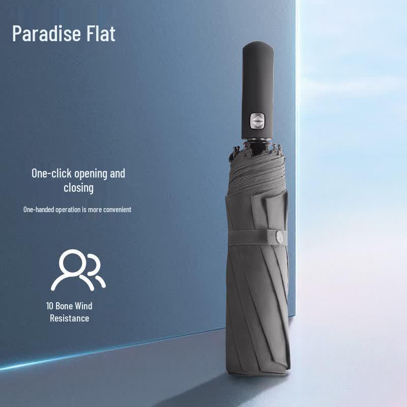 Heaven Fully Automatic 10-Rib Umbrella