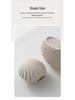 Ceramic Vase for Flower Arrangements - Desktop Shell Ornament Decor