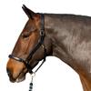 Gallop Premium Leather Padded Horse Headcollar
