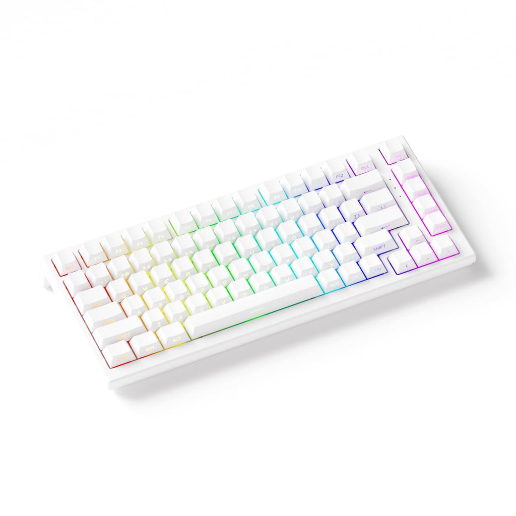 Akko TAC75 HE Gaming Keyboard, 75% English Layout, 0.005mm Rapid Trigger, AstroAim Magnetic Switches, Hot Swap, Tenkeyless, Side Print, Double-Shot