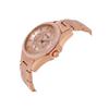 FOSSIL Lilley Collection Wrist Watch Quartz Movement Stainless Steel Strap 38mm Rose Gold Watch Dial Women's Watch ES2811