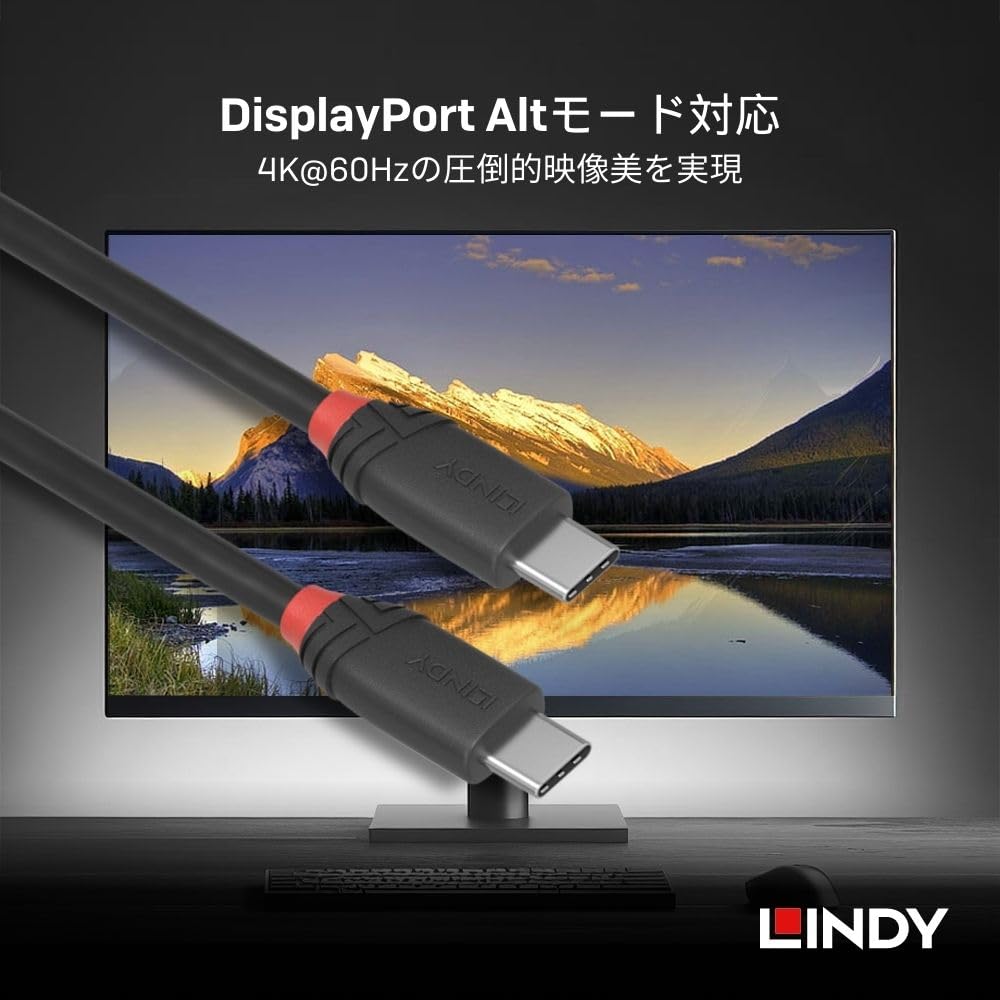 LINDY BLACK LINE USB Gen 2x2 Kabel 0,5m 3.2 Typ-C (Číslo modelu 36905)