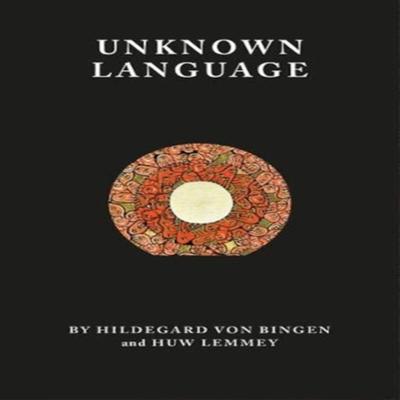 Unknown Language by Huw Lemmey Paperback Book 9781999675912