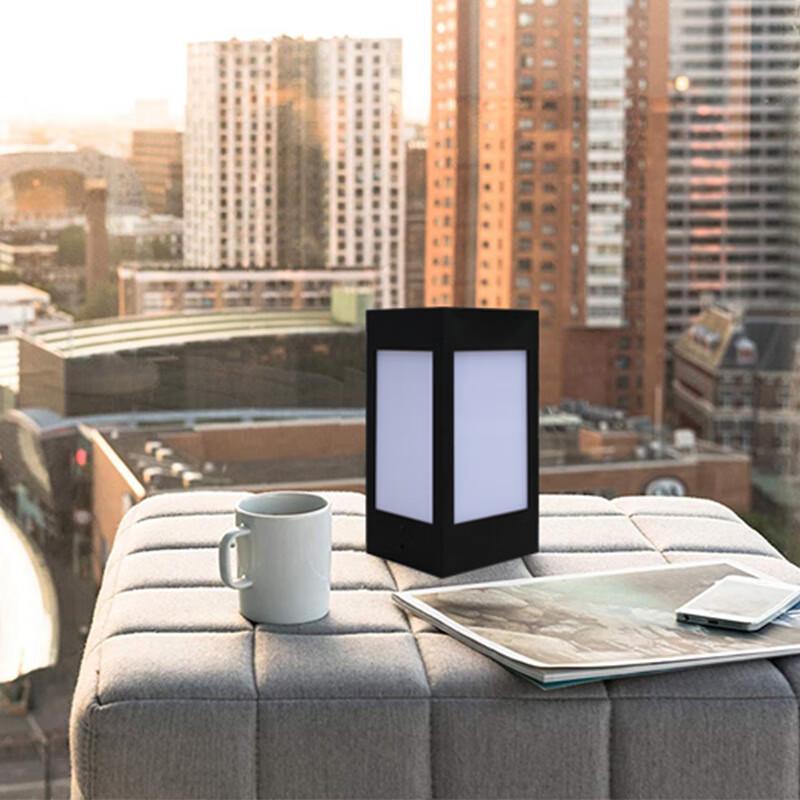 8LED Solar European Style Outdoor Wall/Pillar Light