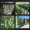Hydroponic Growing System Indoor Outdoor Home Grow Herb Vertical Garden Tower Vegetable Planter Pot Kit Diy