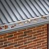 Gutter Guard, 152mm Width, Aluminum Leaf Filter DIY Gutter Cover, 26 PCS 264cm Total Length, 4mm Hole Diameter & 0.5mm Thick Raptor Gutter Guards Fits