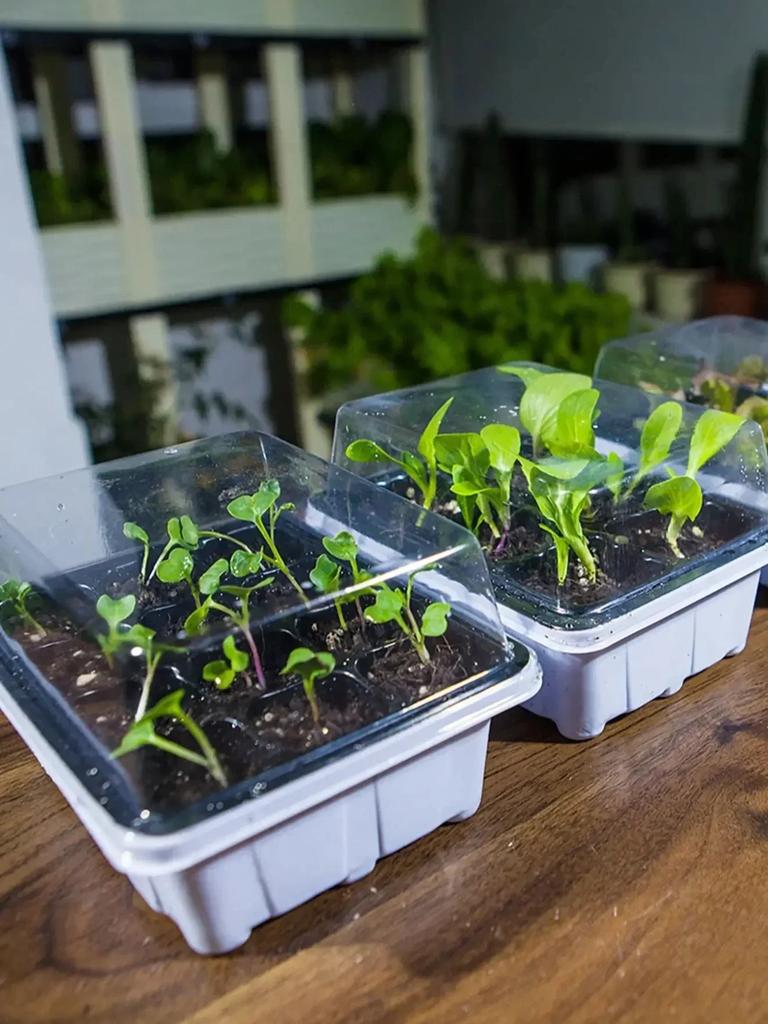 3/6pcs-Plastic Seedling Box With 12 Holes, Seedling Box With Sowing And Seedling Hole Tray