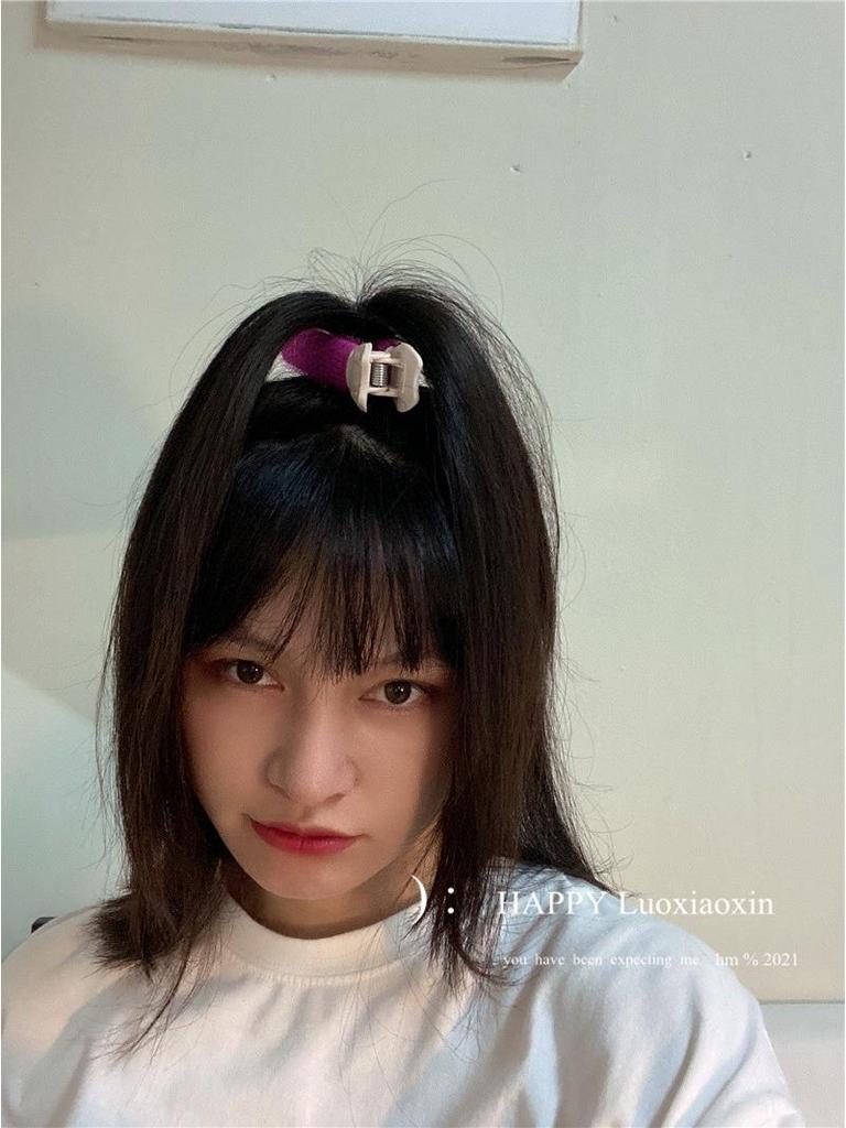 Autumn/Winter Root-Boosting Hair Clip for Women - Fluffy Hair Pad & Princess Head Support