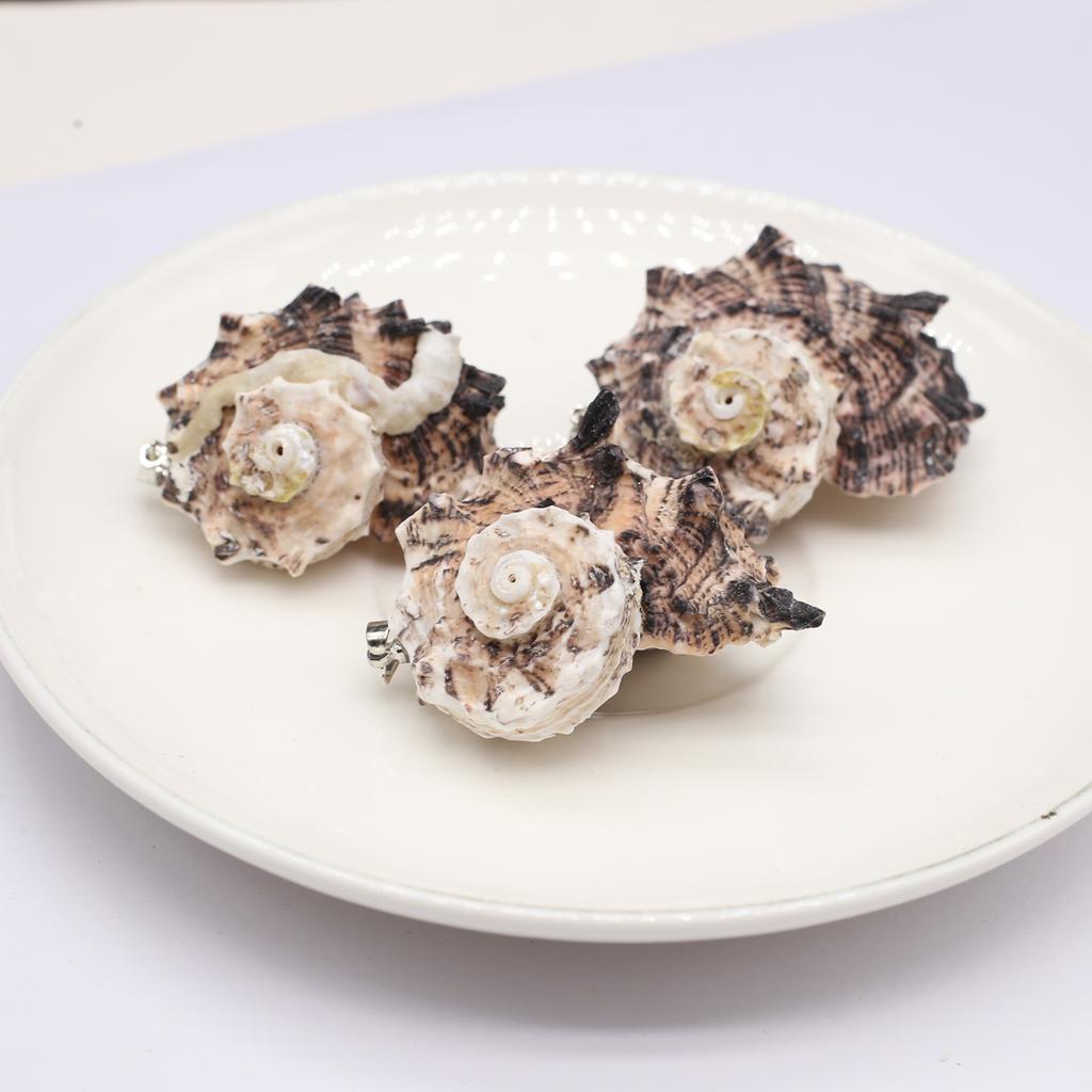 10Pcs Black Conch Pendant Shell Necklace Pendant 20-40mm For Jewelry Making DIY Necklace Bracelet Earrings Accessory