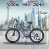 EBIKE SYR03 Bicicletă Electrică de Munte Off-road 1000W 48V 20AH Baterie Litiu Bicicletă Electrică de Munte Off-road pentru Adulți