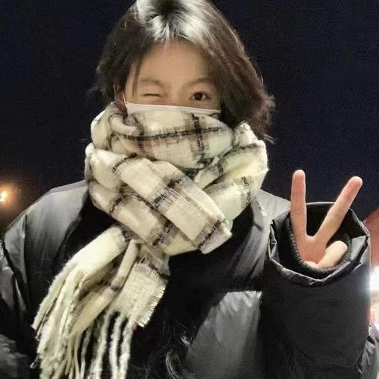 

New Korean Style Color blocked Plaid Scarf for Women in Autumn and Winter High End Imitation Cashmere Scarf for Students Thickened Warm Shawl 200CM