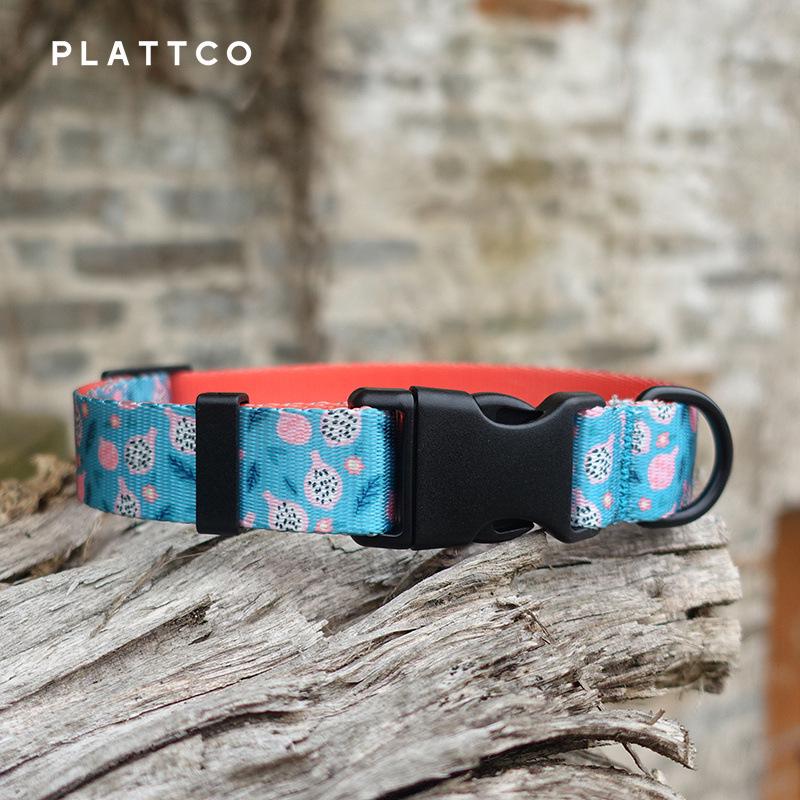 PLATTCO Sweet Fruit Print Dog Collar, Durable & Comfortable, PDC323, Pair with Leash L (2.5cm x 49-55cm)