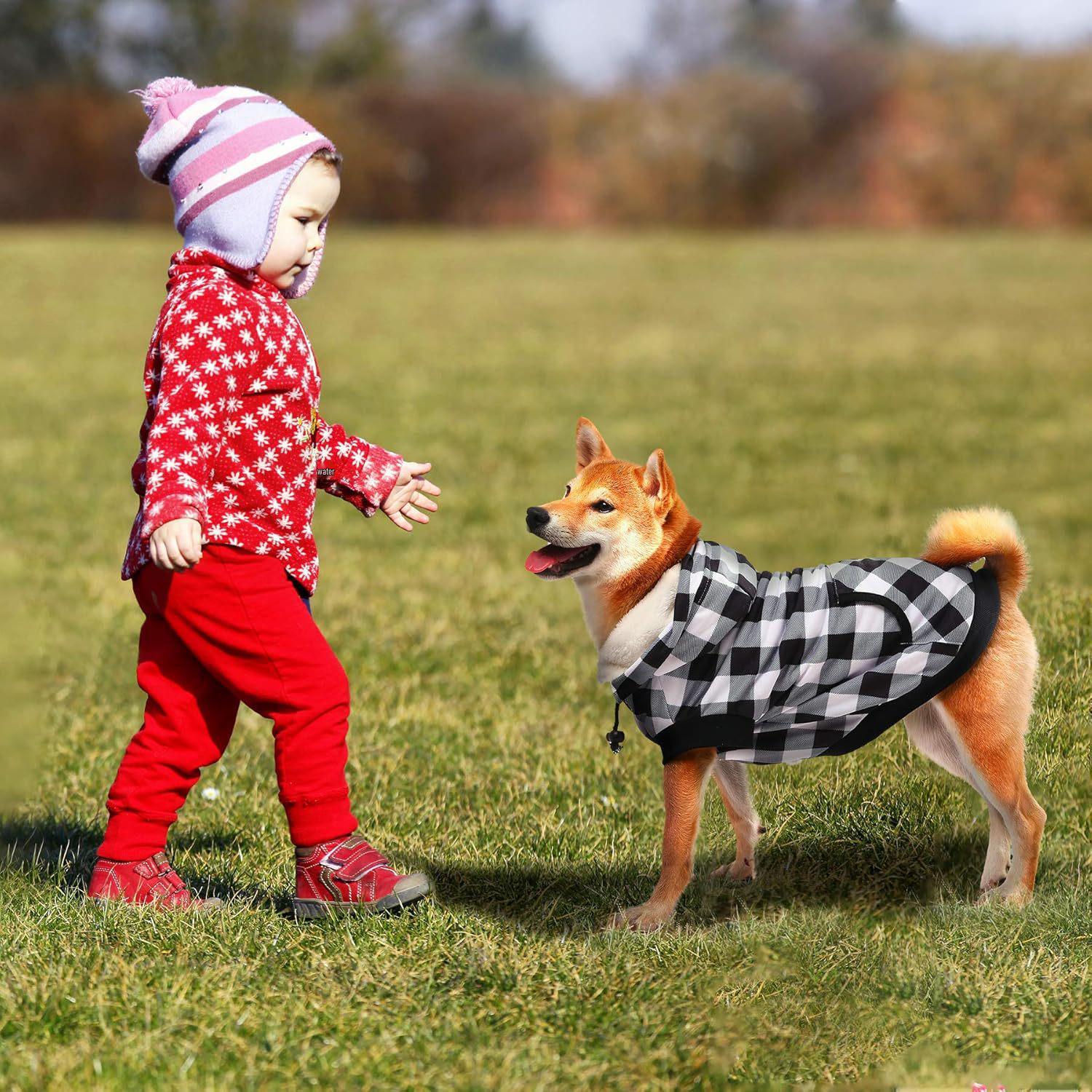 

Winter Pet Coat: Thick, Warm Cotton Vest for Dogs and Cats S