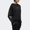 Adidas Casual Hooded Long Sleeve Pullover Sweatshirt Women Tops Black DZ7599